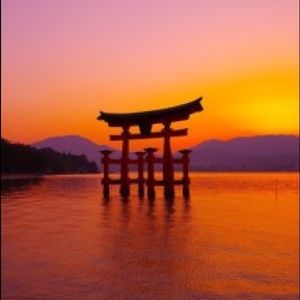 Meet your Posher, Ning